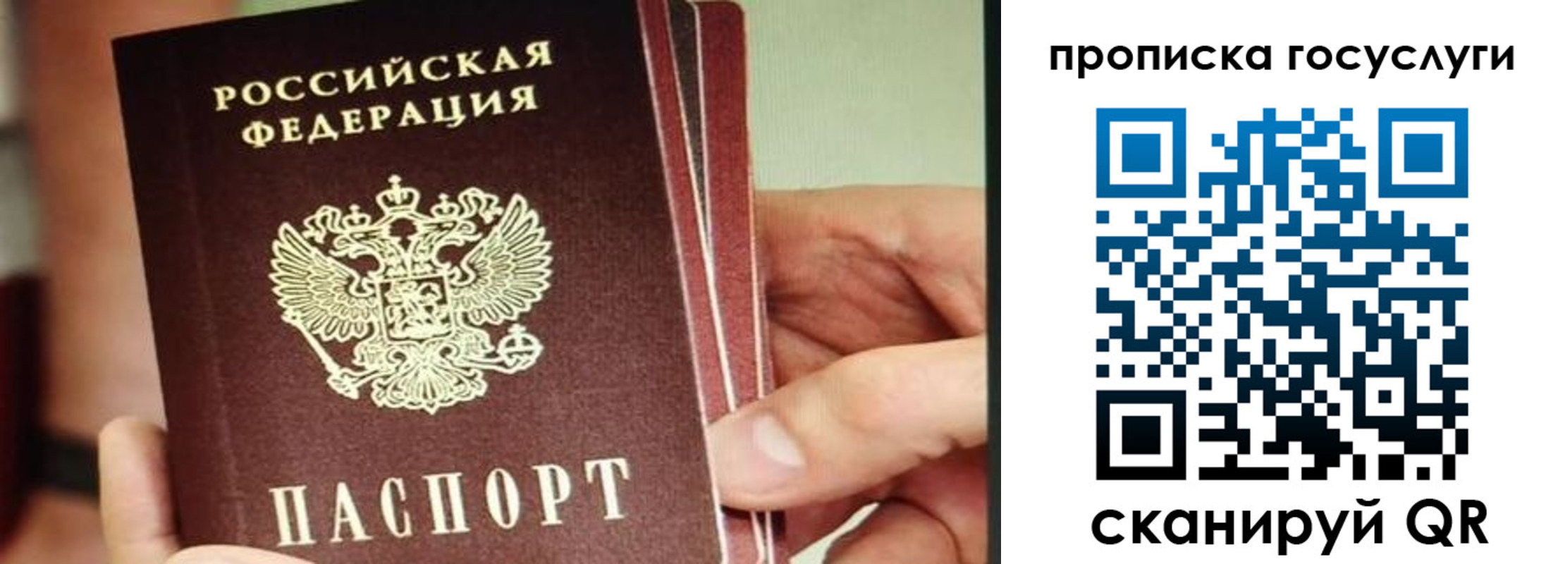 пропишу в квартире в Жукове